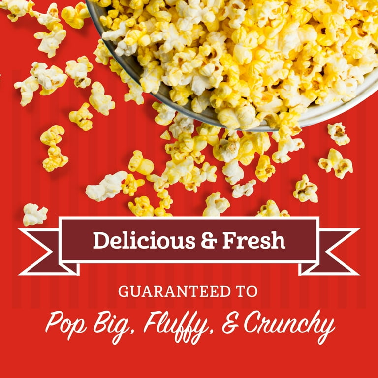 Professional Series Popcorn Machine – Franklin's Gourmet Popcorn