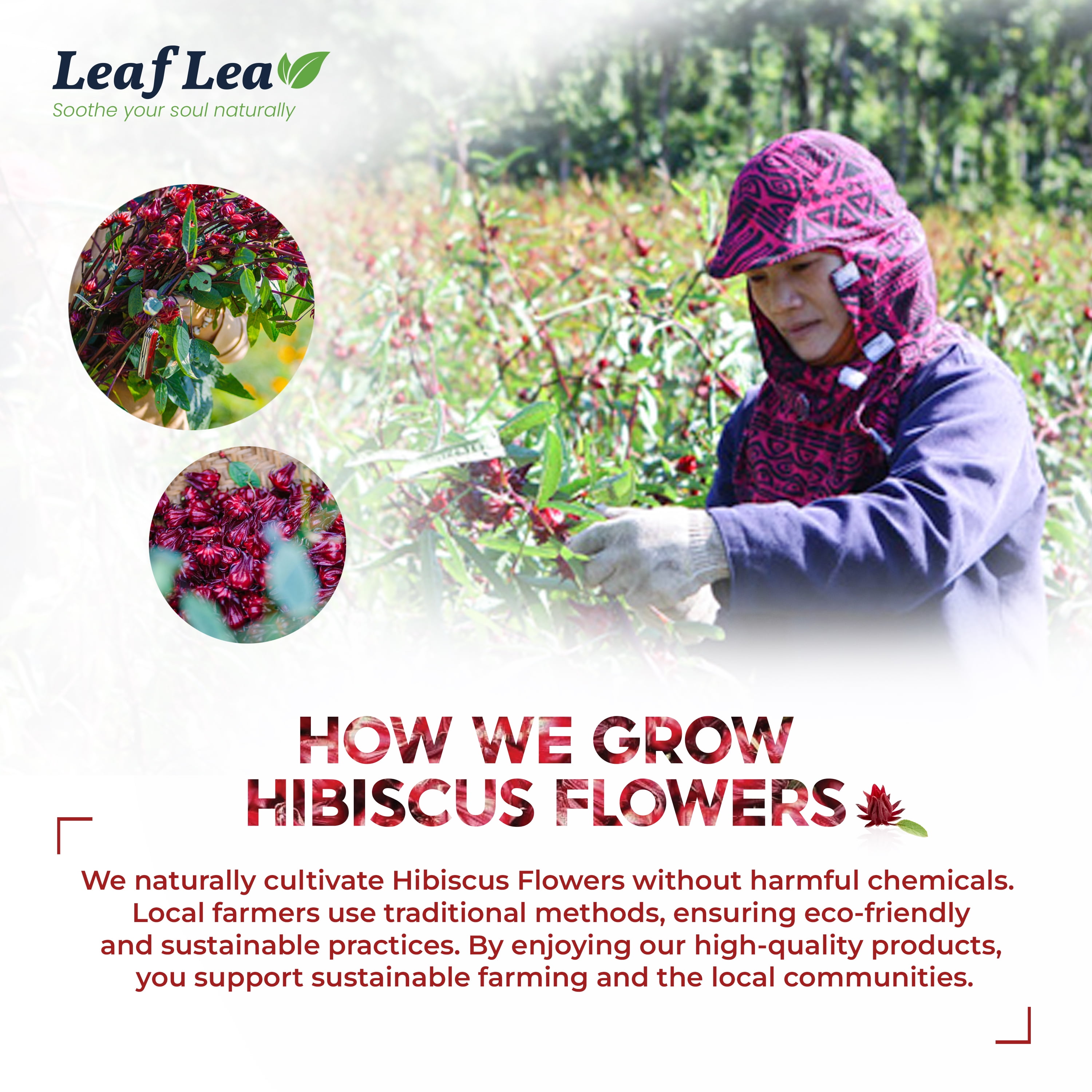 LeafLea 40 Premium Natural Hibiscus Tea Bags, 100% Pure from Hibiscus Flowers, Caffeine-Free Herbal Tea, Hibiscus Flower Tea Rich in Natural Goodness and Flavor, No Sugar, Gluten-Free, Vegan