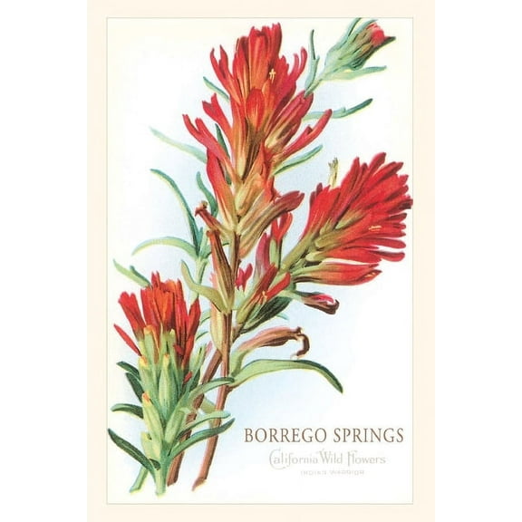 Pocket Sized - Found Image Press Journals: Vintage Journal Borrego Springs, Wildflowers (Paperback)