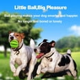 thumbnail image 1 of Pelota de juguete para perros, pelota de juguete no tóxica resistente a las mordeduras para perros, cachorros y gatos, alimentador de golosinas para perros y mascotas, pelota de limpieza de dientes, 1 of 7