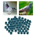 thumbnail image 1 of Xingzhi 100Pcs 2022 Aluminium Dove Racing Pigeon Foot Rings Bands 8mm Blue, 1 of 8