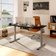 FLEXISPOT 55" x 28" Home Office Height Adjustable Standing Desk Memory Programmable Presets Computer Desk Gray and Black