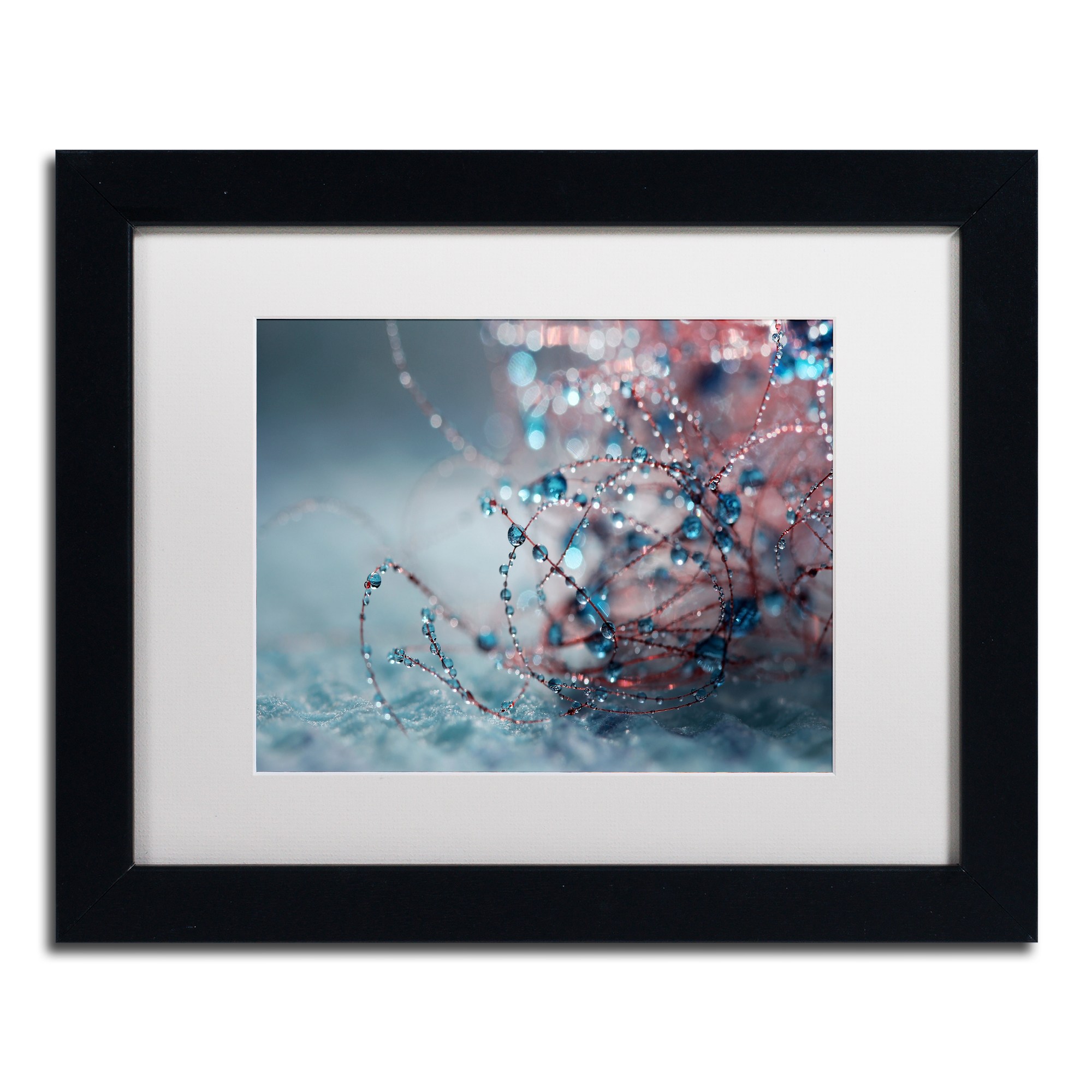 Trademark Fine Art "Blue Silence" Canvas Art by Beata Czyzowska Young, White Matte, Black Frame