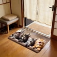 thumbnail image 4 of Lilixerw Cute Mog Floor Mat For Bedroom Porch Hallway Dorm Home Decoration Ideal Gift For Pet Lovers, 4 of 6