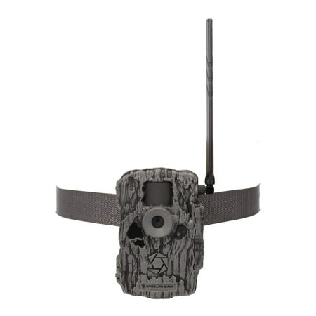 https://i5.walmartimages.com/asr/054346c3-e622-4422-89cd-5d65f573bf7a.b4e2b6cbf1ce905ecb69be8e6c1db0a6.jpeg?odnHeight=450&odnWidth=450&odnBg=ffffff