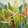 thumbnail image 2 of Art.com Bird of Paradise I Stretched Canvas Print Wall Art by Patricia Pinto, 30" x 30", 2 of 4