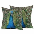 thumbnail image 2 of Pack of 2 Outdoor Pillow Covers,Waterproof Peacock Feathers Throw Pillow Covers,Contemporary Aesthetic Art Decorative Pillowcases Cushion Covers for Patio Couch Pillow Sham Protector 26x26 Inch, 2 of 8