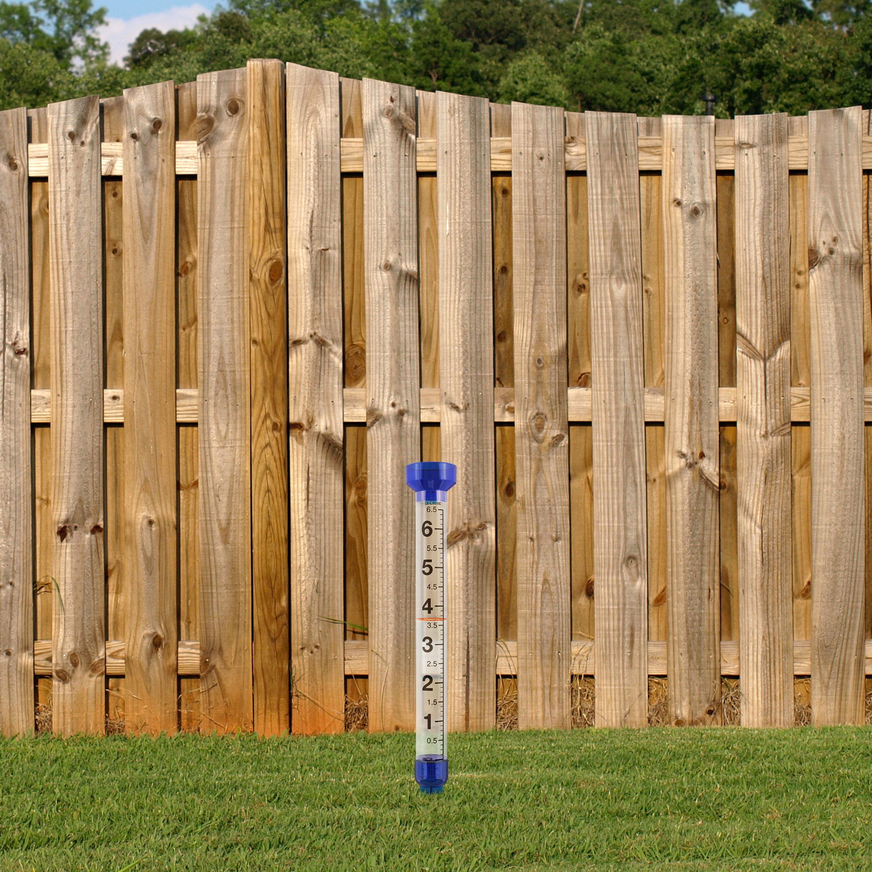 La Crosse 704-1549 6.5 inch capacity Jumbo Plastic Rain Gauge