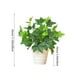 thumbnail image 3 of Plantas en Macetas Artificiales Simulación de la Planta Verde Artificial Decoración Del Vestíbulo Del Hotel de la Oficina en Macetas Planta Verde Decoración Del Hogar Planta Artificial, 3 of 6
