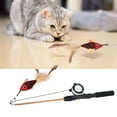thumbnail image 4 of Cat Teaser Wand Toy, Cat Fishing Pole Toy Sturdy For Cats, 4 of 8