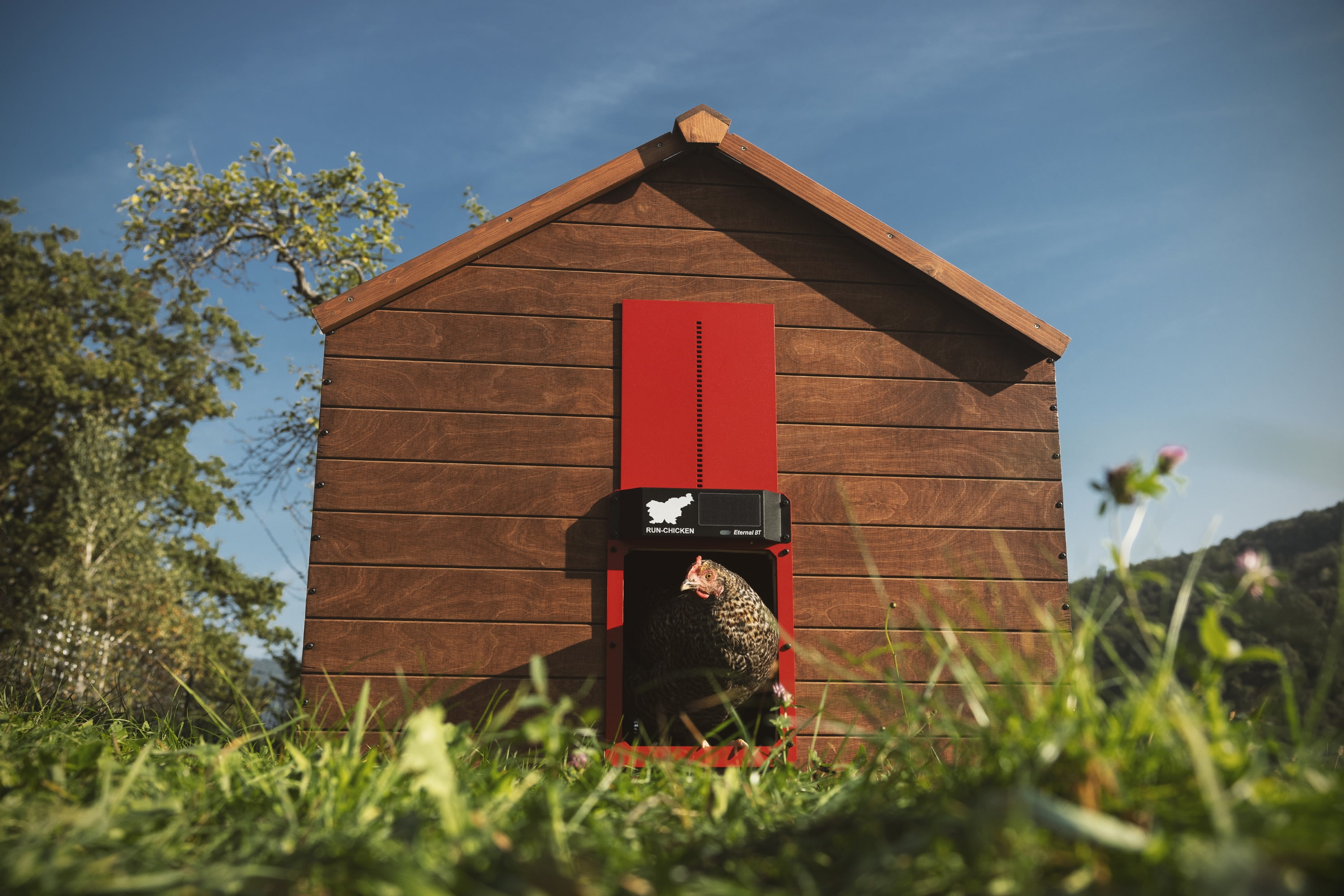 Eternal BT RUN-CHICKEN Door – Solar-Powered Automatic Coop Door with Bluetooth Control (Red)