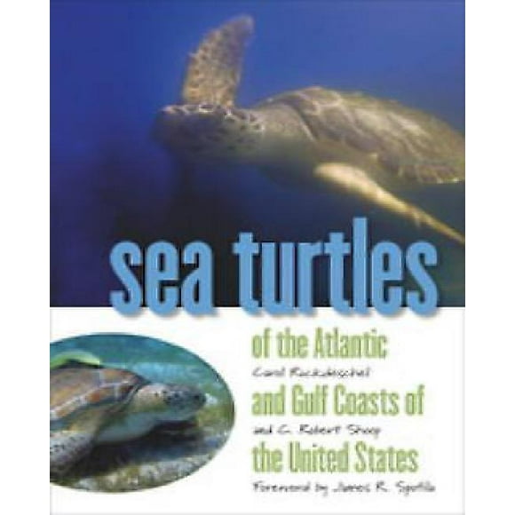 Tortues Marines des Côtes Atlantiques et du Golfe des États-Unis