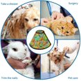 thumbnail image 4 of Pineapples Soft Cat Dog Recovery Collar Adjustable Cat Cone Wound Healing Protective After Surgery for Medium Dogs, 4 of 7