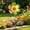 B, variant on AURIGATE 26.77in Colorful Flower Wind Spinner, Decorative Garden Windmill for Yard Patio Lawn Outdoor Decor