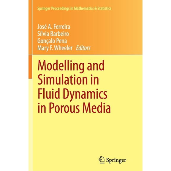 Springer Proceedings in Mathematics &amp Modelling and Simulation in Fluid Dynamics in Porous Media, Book 28, (Paperback)
