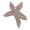 B, variant on Creative Starfishes Brooches Fashion Clothing Patches Detachable Dress Ornament for Personality Apparels