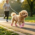 thumbnail image 4 of CSStudio 4 Pack Non Slip Dog Socks with Adjustable Straps, Waterproof Rubber Bottom Pet Paw Protector Booties, Anti Licking Traction Shoes for Indoor Floor & Light Outdoor Walks, 4 of 6
