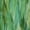 Green Watercolor Floral, variant on Women's Sleeveless Printed A-Line Swing Dress with Pockets