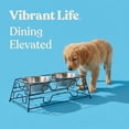 thumbnail image 4 of Vibrant Life Large 7.6-Cup Stainless Steel Pet Double Diner, Silver, 4 of 11