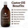 thumbnail image 3 of USDA Certified Organic Castor Oil, 100% Pure Cold-Pressed Virgin Oil, Unrefined, Glass Bottle, for Skin, Hair and Eyelashes, 3 of 7