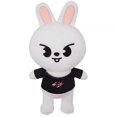 thumbnail image 1 of Kawaii Companion Toys Cartoon Animal Link Lade Fagled Toy Regalos Algodón 20 Cm para Fanáticos, 1 of 9