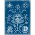 thumbnail image 2 of Vision Studio 12x14 Black Ornate Wood Framed with Double Matting Museum Art Print Titled - Marine Blueprint IV, 2 of 4