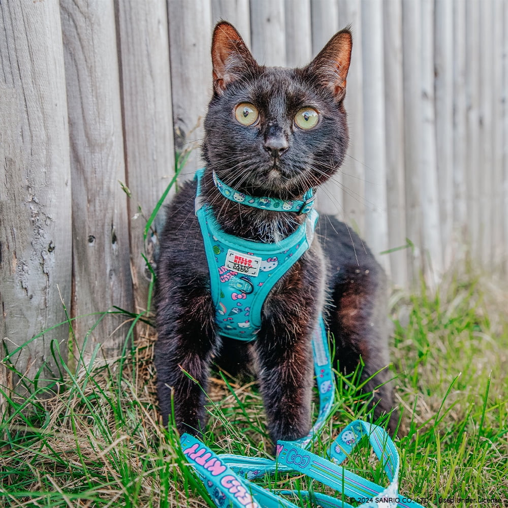 Sassy Meow Cat Leash - Hello Kitty Blue - Walmart.com