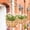 A, variant on 2 Pc Metal Round Hanging Planter Basket,14 Inch Hanging planters Baskets with Natural Coco Liner for Plants Flower Pots Outdoor Garden Porch and Balcony Decor