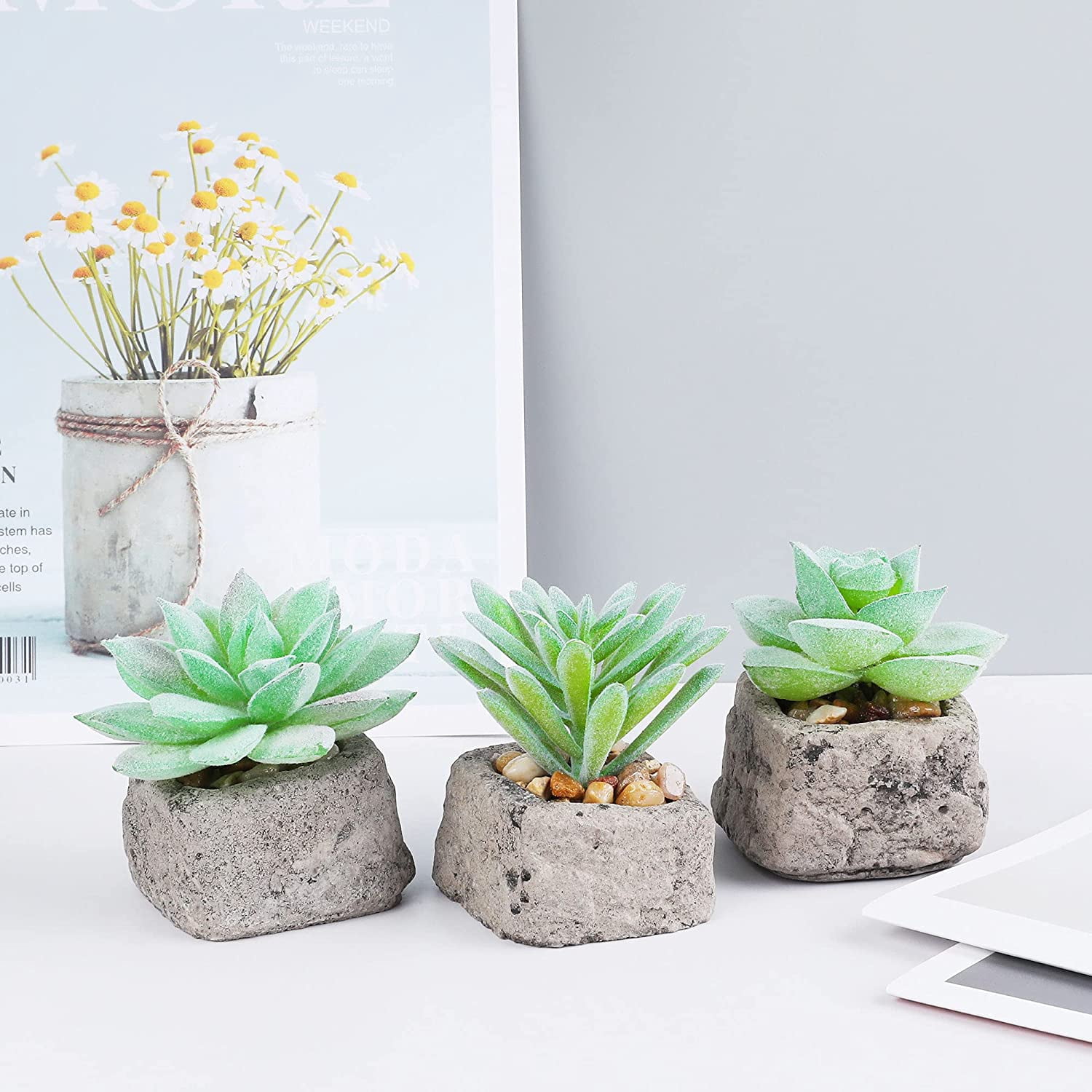 Arborus Plantes artificielles petites plantes grasses artificielles dans un pot en céramique avec pot noir pour décoration de la maison