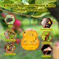 Wasp Trap with 2 Baits Reusable Catcher for Outdoor Use