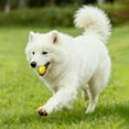 thumbnail image 3 of Indestructible Tennis Silent EVA Chew Toy Interactive Play for Small Dogs and Puppies, 3 of 4