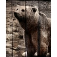 thumbnail image 2 of Kimberly, Allen 20x24 White Modern Wood Framed Museum Art Print Titled - Into the Woods 3, 2 of 4
