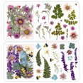 thumbnail image 2 of 1 Bag Dried Flowers Diy Pressed Flowers Stickers for Phone Case Jewelry Making Crafts Nail Art Decor, 2 of 8