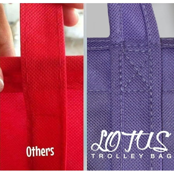 HAHDAXIA Lotus Trolley Bags set of 4 w LRG COOLER Bag Egg Wine holder Reusable Grocery Cart Bags sized for USA. Walmart