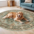 thumbnail image 6 of General Washable Oriental Area Rug - 3ft Round Rugs for Living Room Soft Carpet for Bedroom Waterproof Floral Distressed Indoor Stain Resistant Non-Shedding Floor Carpets (Green, 3ft-Round), 6 of 12