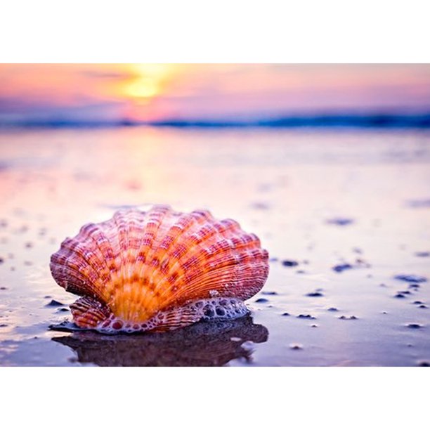 Taladro Diamond Painting (DE3322) 5D DIY Kit de punto de cruz completo (Playa de arena-k532) 30x40cm FLhrweasw Nuevo