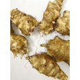 Sunchoke / Jerusalem Artichoke Individual Tubers For Planting