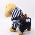 thumbnail image 1 of Ropa para mascotas con relleno de terciopelo y bordado de lunares, con capucha y rayas de oso, cálida para invierno, 1 of 6