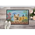 thumbnail image 2 of Carolines Treasures CK1252MAT Tapis d'Intérieur Ou d'Extérieur à Ressort Cairn Terrier - 18 x 27 Po., 2 of 4