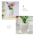 thumbnail image 6 of Self-Watering Planters African Violet Pots Plastic Wick 6 Inch Flower Plant Pots for Indoor Plants, Spider Plant, Clear Orchid Pot White, 6 of 10