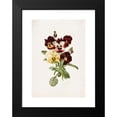 thumbnail image 2 of Alois Lunzer 14x18 Black Modern Framed Museum Art Print Titled - Pansies (1885), 2 of 5