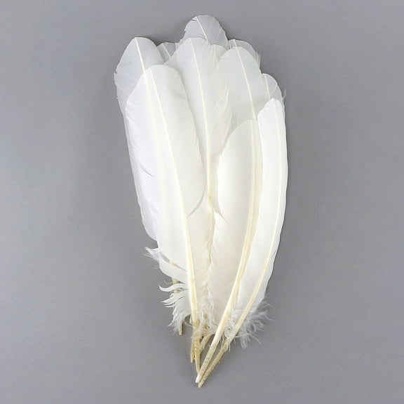 Zucker Feather Products Turkey Quills Selected - Left Wing - 10-12" - White
