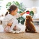 thumbnail image 3 of Botón de entrenamiento para perros que ladran | Juguete de comunicación con grabación de voz para mascotas | Botón interactivo para perros | Herramienta de entrenamiento conductual para aliviar la an, 3 of 5