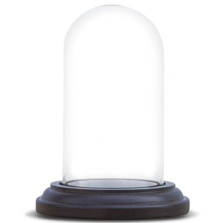 BestPysanky Walnut Wood Base Glass Dome 3.5 Inches x 3 Inches