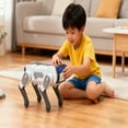 thumbnail image 5 of Education Puzzle Toy Remote Control Robot for Kids Smart Puppy with Voice Mimicry Storytelling and Dancing, 5 of 5
