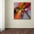 thumbnail image 4 of Trademark Fine Art "Sunset" Canvas Art by Ricardo Tapia, 4 of 4