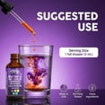 thumbnail image 6 of Clean Nutraceuticals Milk Thistle NAC Liver Cleanse Detox & Repair Supplement Liver Support Liquid Drops with Dandelion Extract, Artichoke, Chanca Piedra, Choline, L-Glutathione, Burdock, Schisandra, 6 of 8