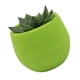 thumbnail image 1 of Maceta Suculenta Mini Contenedor De Flores Para Plántulas Maceta De Plástico Para Jardín Patio Balcón, 1 of 7