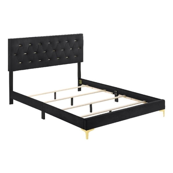 Dle 4 Piece Queen Bedroom Set-Tufted Black Velvet-Modern Gold Accent