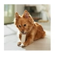 thumbnail image 2 of Stuffed Peanut Butter Nutritious Refillable Shin Bones 4" Hard Dog Dental Chews (1 Bone), 2 of 7